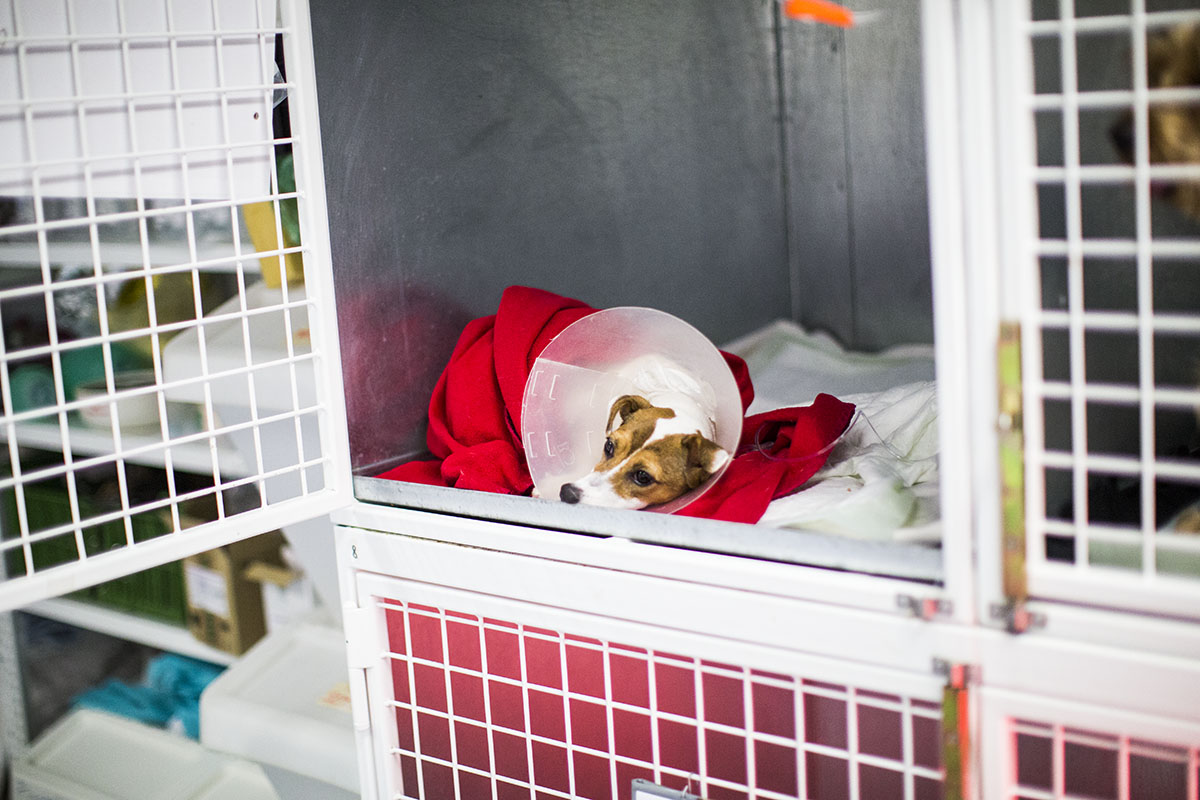 Hospitalizácia