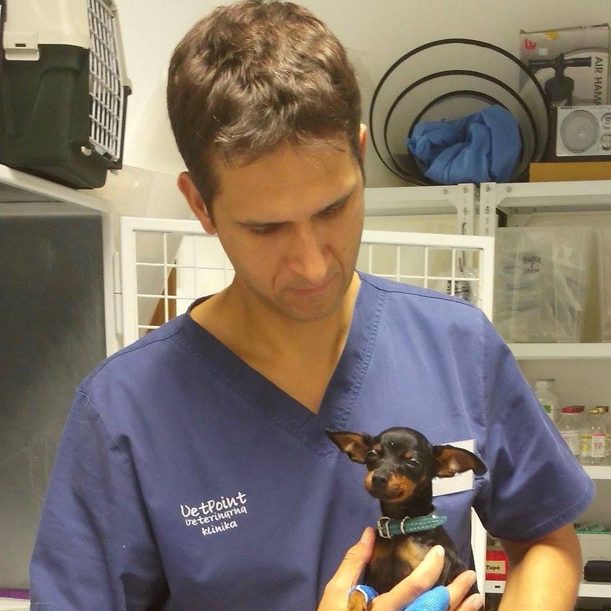 Rok s koronavírusom 1/2 - Ako ovplyvnila pandémia veterinárnych lekárov?